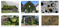 Sité wil 32 duurzame, circulaire sociale huurwoningen realiseren in ‘De Kwekerij’ in Wijnbergen