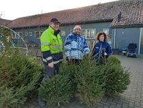 Samenwerking levert gratis kerstbomen voor minima op